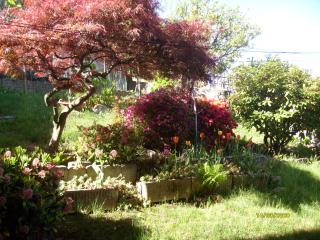 House Yanina - Bellano - 7