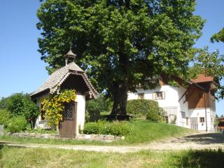 Haus Stöllinger - Hof bei Salzburg - 2