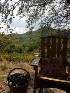 Casa Vacanza Contado Latino - Belmonte del Sannio - 4