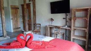 La BerryCurienne proche du Zoo de Beauval Saint-Aignan avec SDB, WC ET SPA PRIVATIF pour chaque chambre - 8