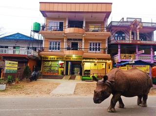 Hotel Rhinoceros-Homestay - 2