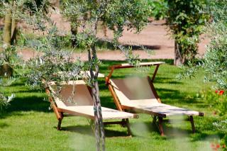 Agriturismo Vecchio Imposto - Massa Marittima - 8