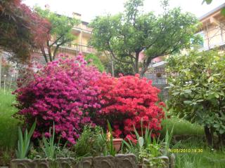 House Yanina - Bellano - 3