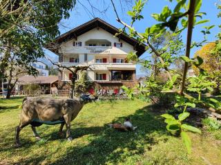 Gästehaus Alpenkranz - 0