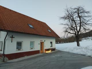 Apartma Stenar - Mojstrana - 9