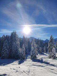 Gästehaus Alpenkranz - 2