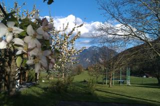 Hoderhof - Grassau - 8