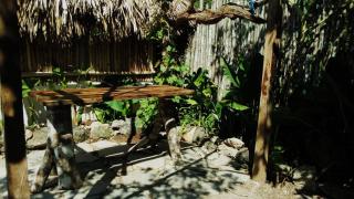 Cabañas Alma Verde - Bacalar - 3
