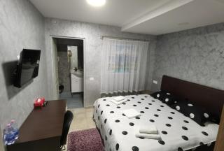 DNT HOUSE &spa - Cârcea - 2