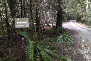 Moon Dance Perch - Madeira Park - 4