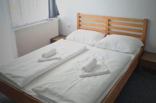 Apartments and Rooms Ski - Vlasic - 8