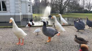 B&B en SPA Landgoed Matanze - 2