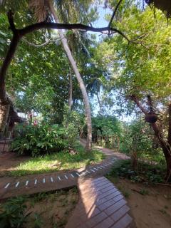 Inn On The Bay - Pasikuda - 6