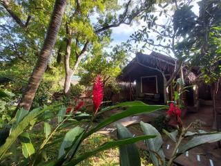 Inn On The Bay - Pasikuda - 5