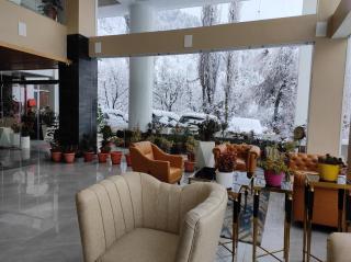 NatureVilas Sarovar Portico - Centrally Heated - Manali - 9