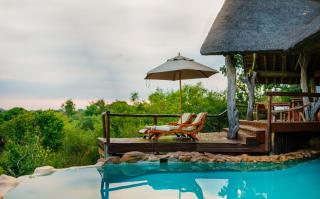 Nedile Lodge - Welgevonden Game Reserve - 6