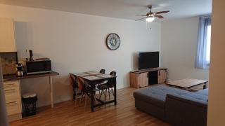 Appartement T2 45 M2 Meublé 3 étoiles tout confort hyper centre de Dax - 6