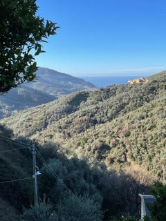 Le Case di Petra - Vignana - 3