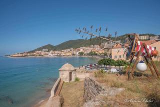 Sudio bord de mer Ajaccio - Ajaccio - 1