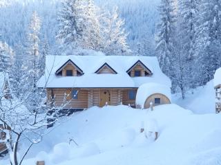 Dom pod Baranią - Wisła - sauna, jacuzzi, tężnia & widok na góry - Wisła - 1