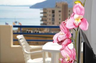 APCOSTAS Turquesa Playa - Calpe - Calpe - 6