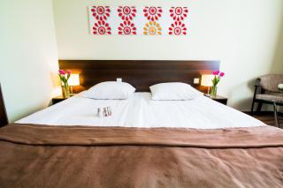 Park Hotel Diament Katowice - 4