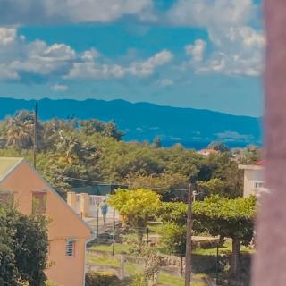 Mangrove - Port-Louis - 3