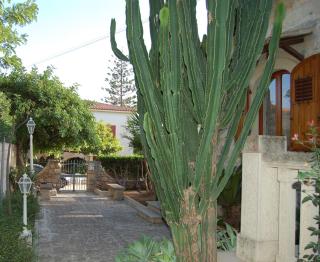 Casa Romano - Marina di Modica - Marina di Modica - 6