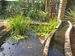 The Victoria House - Ficksburg - 5