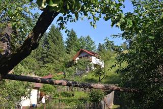 Cabana Vânătorilor - Poiana Mărului - 8