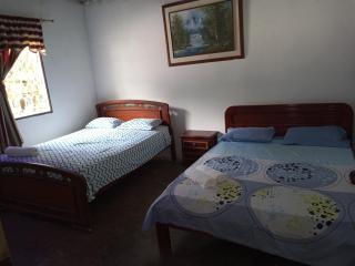 Hostal Y Balneario La Danta - 1