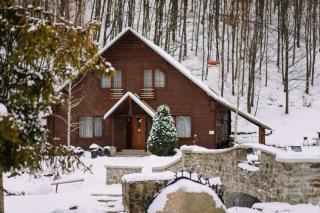 Voevodyno Resort - 8