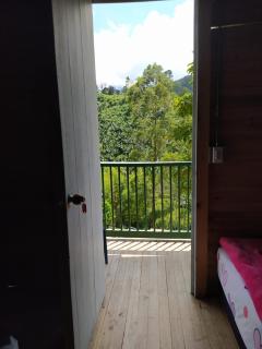 Hotel Orillas del Pizano - Jardin - 4