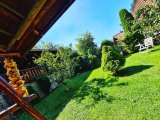 Cabana Vânătorilor - Poiana Mărului - 3