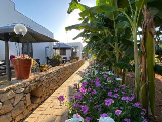 B&B Fellini Gallipoli - 8