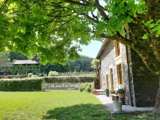 La Maison des Marguerites - Vresse-sur-Semois - 6