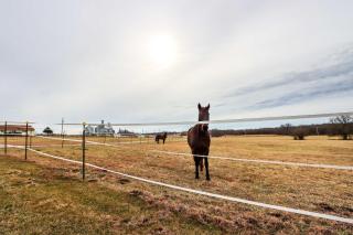 15 Mi to Niangua River Studio in Buffalo - Buffalo - 9