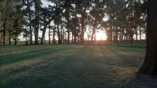 La Esperanza - San Andrés de Giles - 1