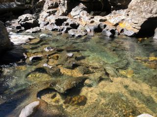 Ecopousada Toca do Guará - 5