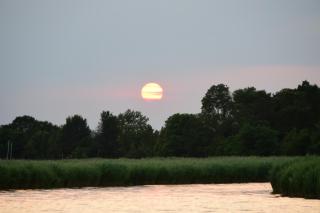 Agriturismo Venice Photobirding - Tessera - 6