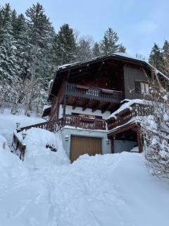 Haus Rathore - Altaussee - 1