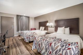 Red Roof Inn Sumter - Sumter - 9