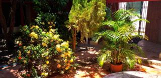 Casa Serrano - Calle Real 5 - Mompós - 9