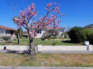 Homestay Double room, near the city center - Christchurch - 3