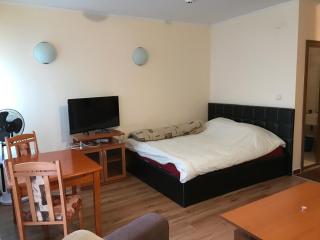 Ski Zone at Gondola, Perfect One Bdrm, Fast WiFi, Netflix, Quiet, Warm - 2