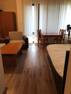 Ski Zone at Gondola, Perfect One Bdrm, Fast WiFi, Netflix, Quiet, Warm - 3