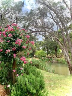 Le Petit Chateau Homestead Bridgetown - Bridgetown - 6