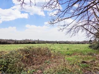 Ems Cottage - Emsworth - Emsworth - 4