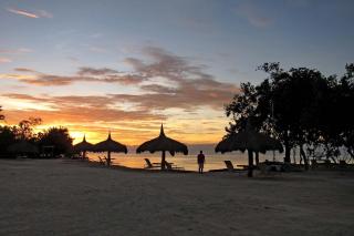 Bluewater Panglao Resort - Panglao - 5