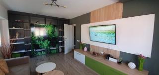 Chilia 1 Apartments - Chilia Veche - 2
